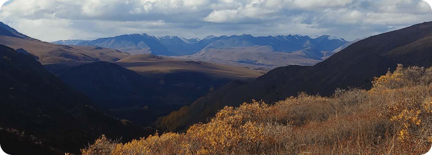 Nut project landscape